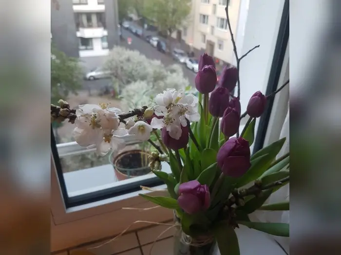 Vorschaubild 2
