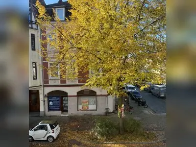 Vorschaubild 3