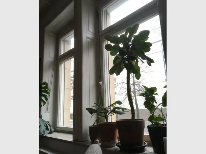 Vorschaubild 3