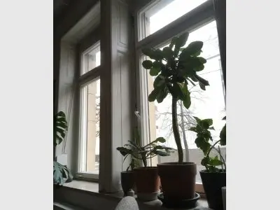 Vorschaubild 3