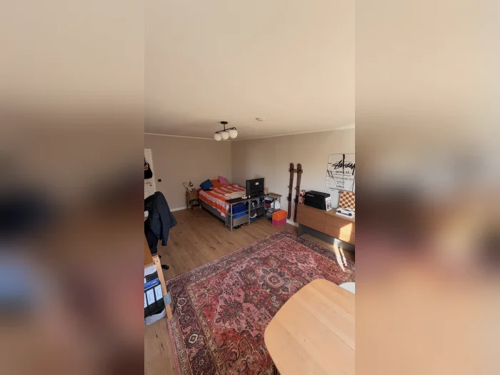 Vorschaubild 1