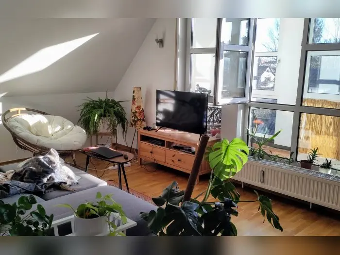 Vorschaubild 1