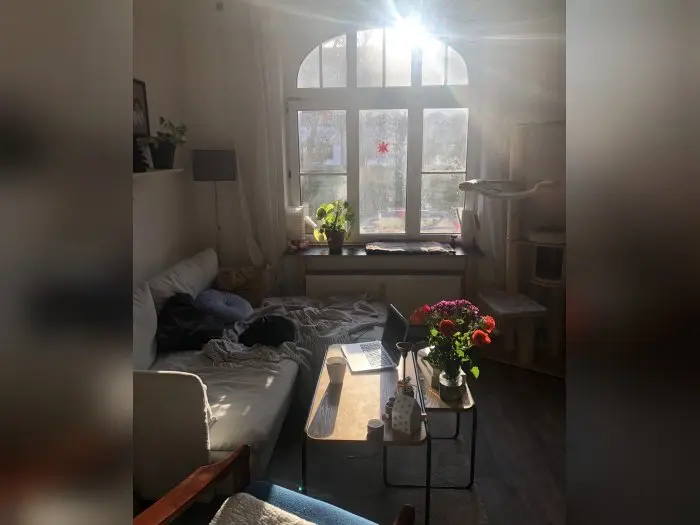 Vorschaubild 1