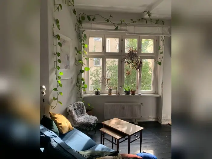 Vorschaubild 1
