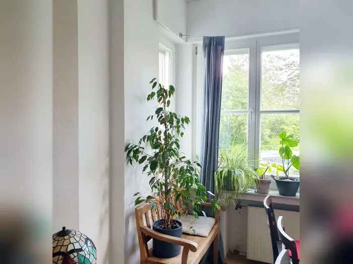 Vorschaubild 1