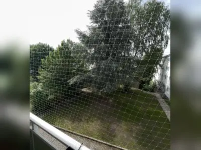 3ZKBB, zentral in Münster - Ost