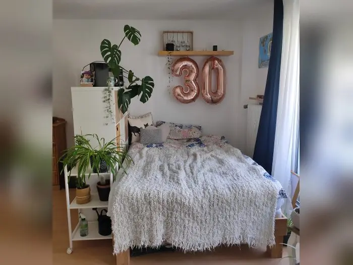 Vorschaubild 2