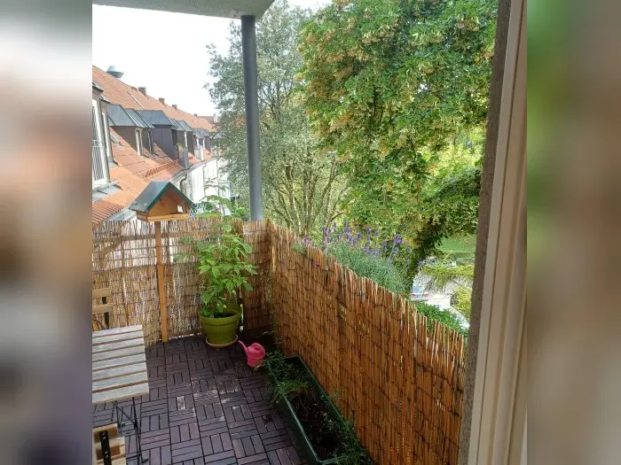 Vorschaubild 1