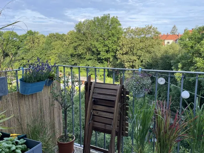 Vorschaubild 1