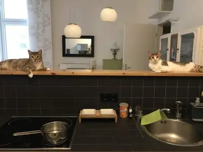 Vorschaubild 3