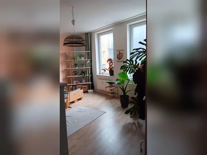 Vorschaubild 1