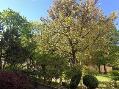 Blick ins Grüne: 3 ZKB+Balkon + TG-Stellplatz (Duplex)