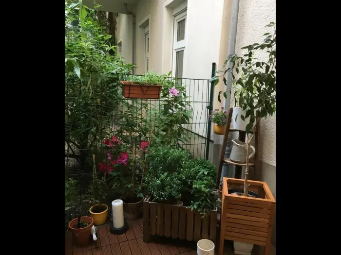 Vorschaubild 1