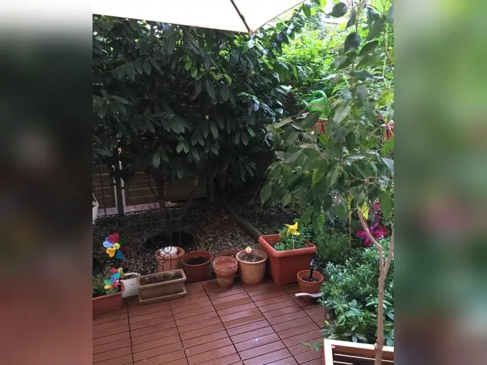 Vorschaubild 2