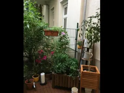 Biete Altbau 2,5 Zimmer/Suche 3-4 in 10439 Prenzlauer Bberg