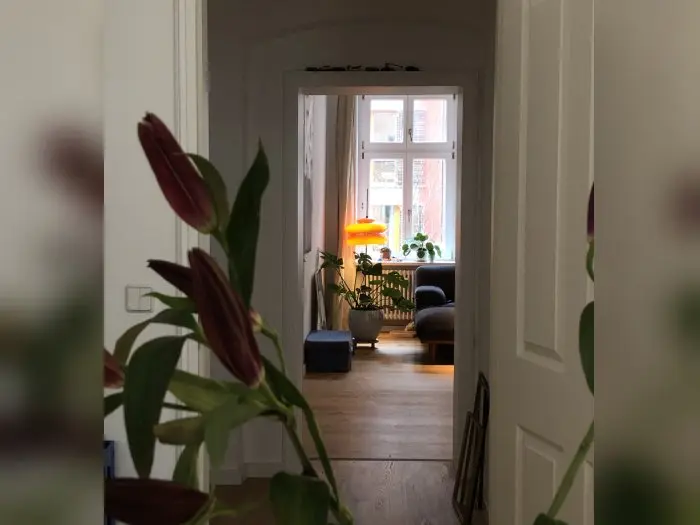 Vorschaubild 2