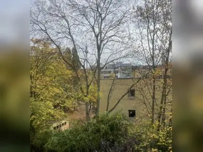 Vorschaubild 3