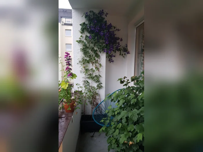 Vorschaubild 3