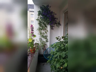 Vorschaubild 3
