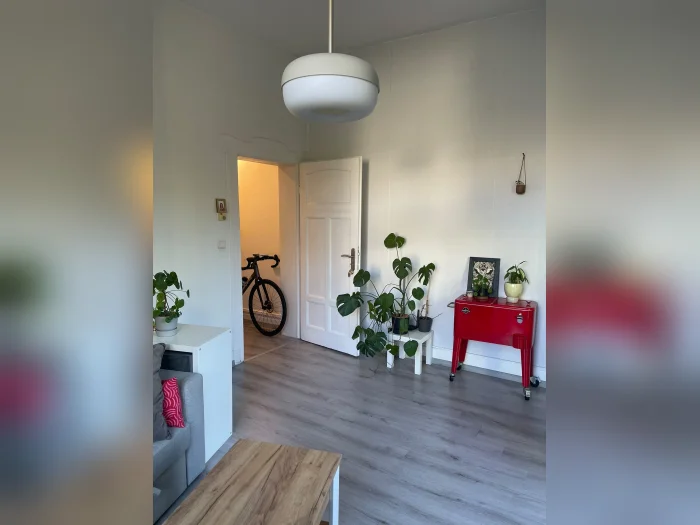 Vorschaubild 3