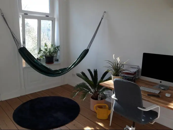 Vorschaubild 1