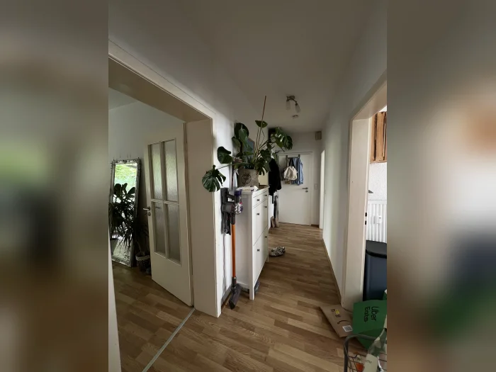 Vorschaubild 1