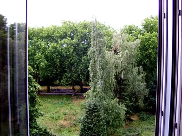 Vorschaubild 1