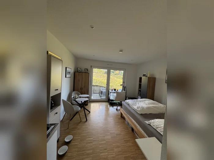 Vorschaubild 1
