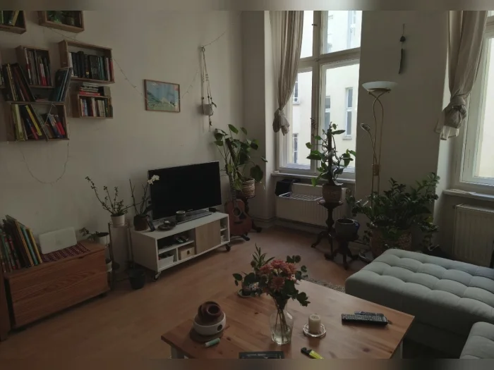 Vorschaubild 2