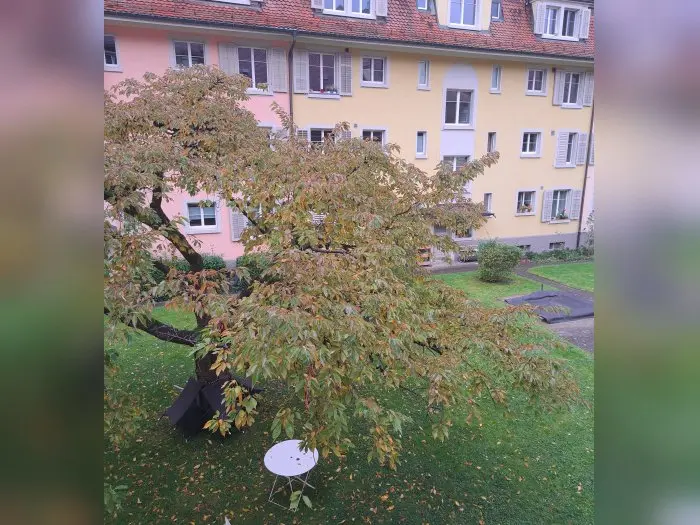 Vorschaubild 2