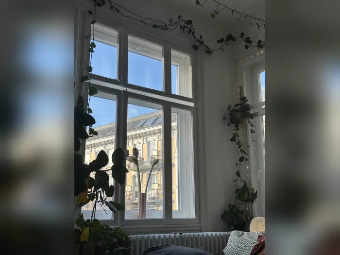 Vorschaubild 1