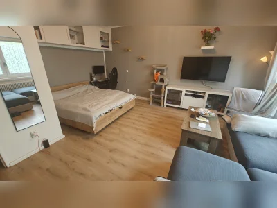 Vorschaubild 1