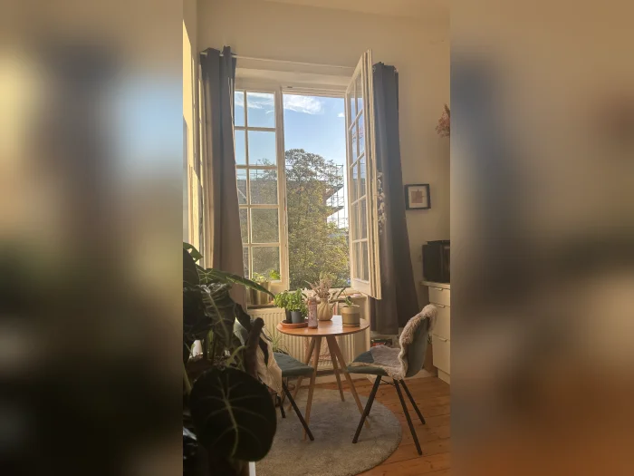 Vorschaubild 2