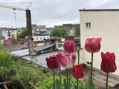 2,5 Zi-Whg in Düsseldorf gegen zentrale größere Whg in Ddorf