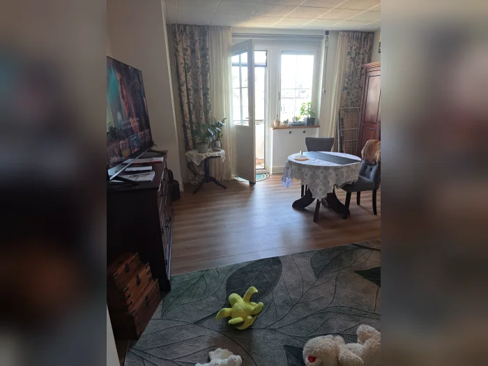 Vorschaubild 1