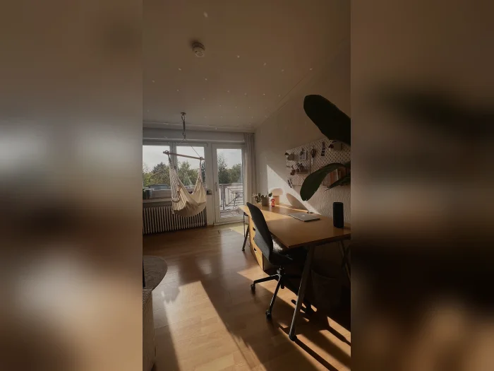 Vorschaubild 1