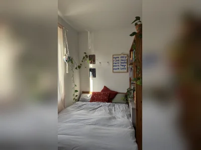 Vorschaubild 3