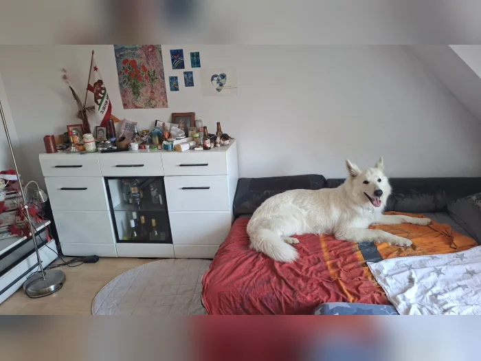 Vorschaubild 1