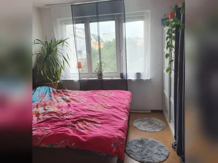 Vorschaubild 3