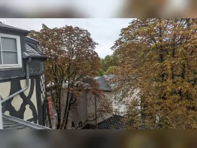 Vorschaubild 1