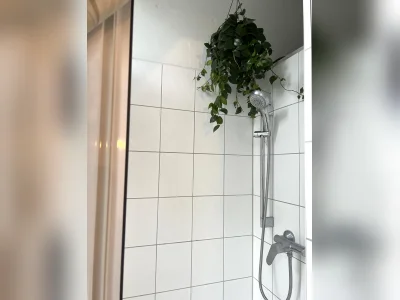 Vorschaubild 3