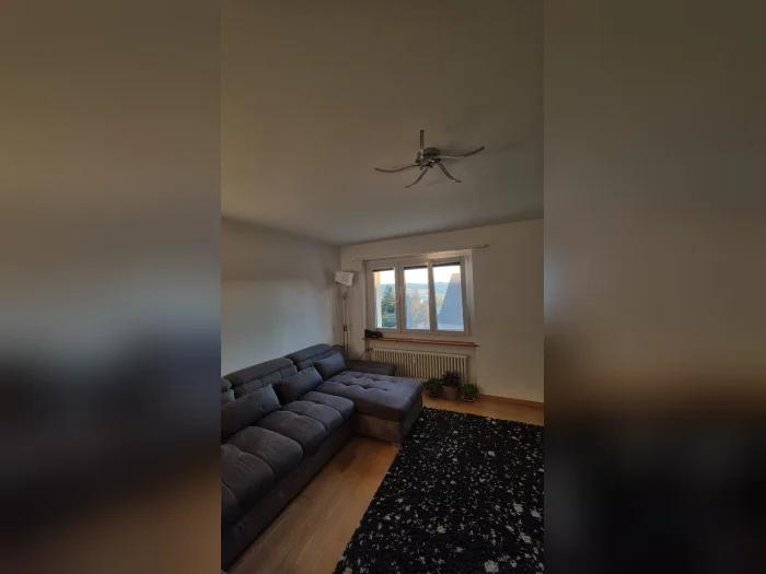 Vorschaubild 2