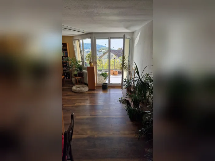 Vorschaubild 3