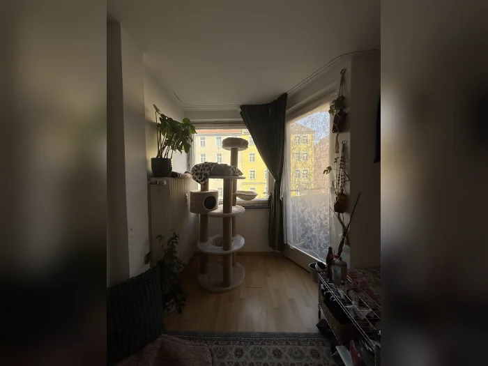 Vorschaubild 2