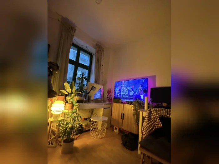 Vorschaubild 1