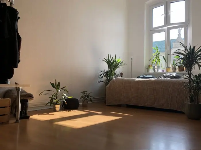 Vorschaubild 1
