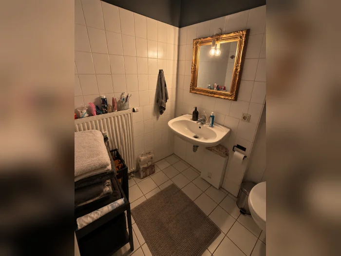 Vorschaubild 2