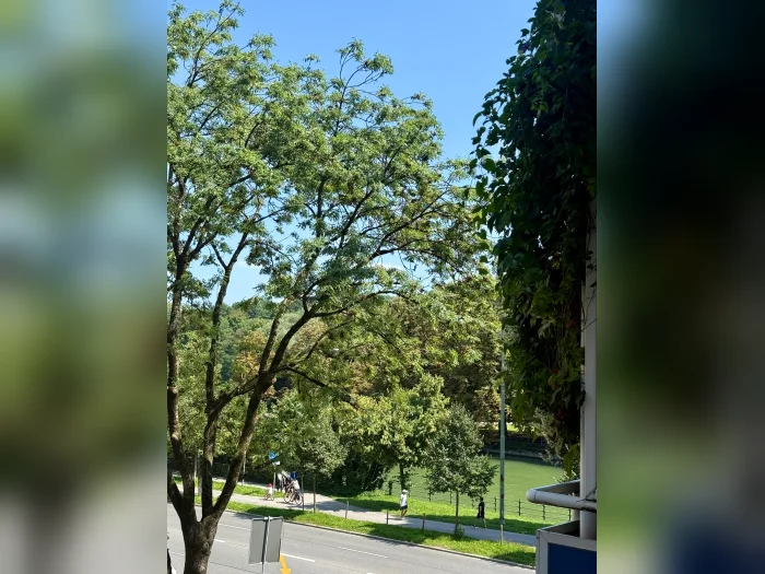 Vorschaubild 1