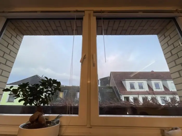 Vorschaubild 3