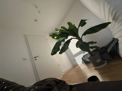 Leipzig, Mitte: 2-Zimmer-Wohnung, 37 m²